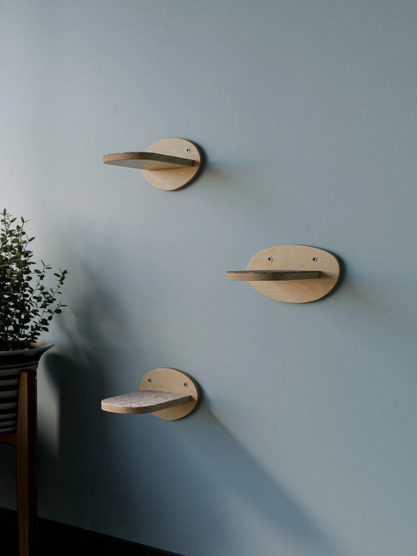 Cat Climbing Steps – Organic Birch Wall Shelves - Woodz