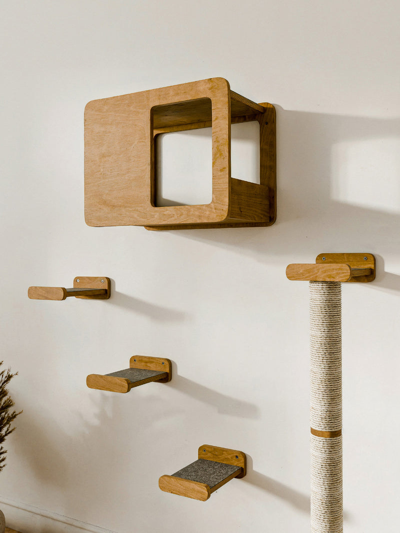 Wall mounted wooden cat furniture set with climbing shelves, a house box, and a sisal scratching post